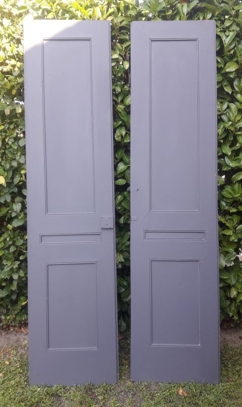 Pair of doors 242,5x116 of antique closet