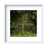 Limited edition art photo numbered dated and signed