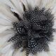 Juju hat white / black heart to peas 80/85 cm