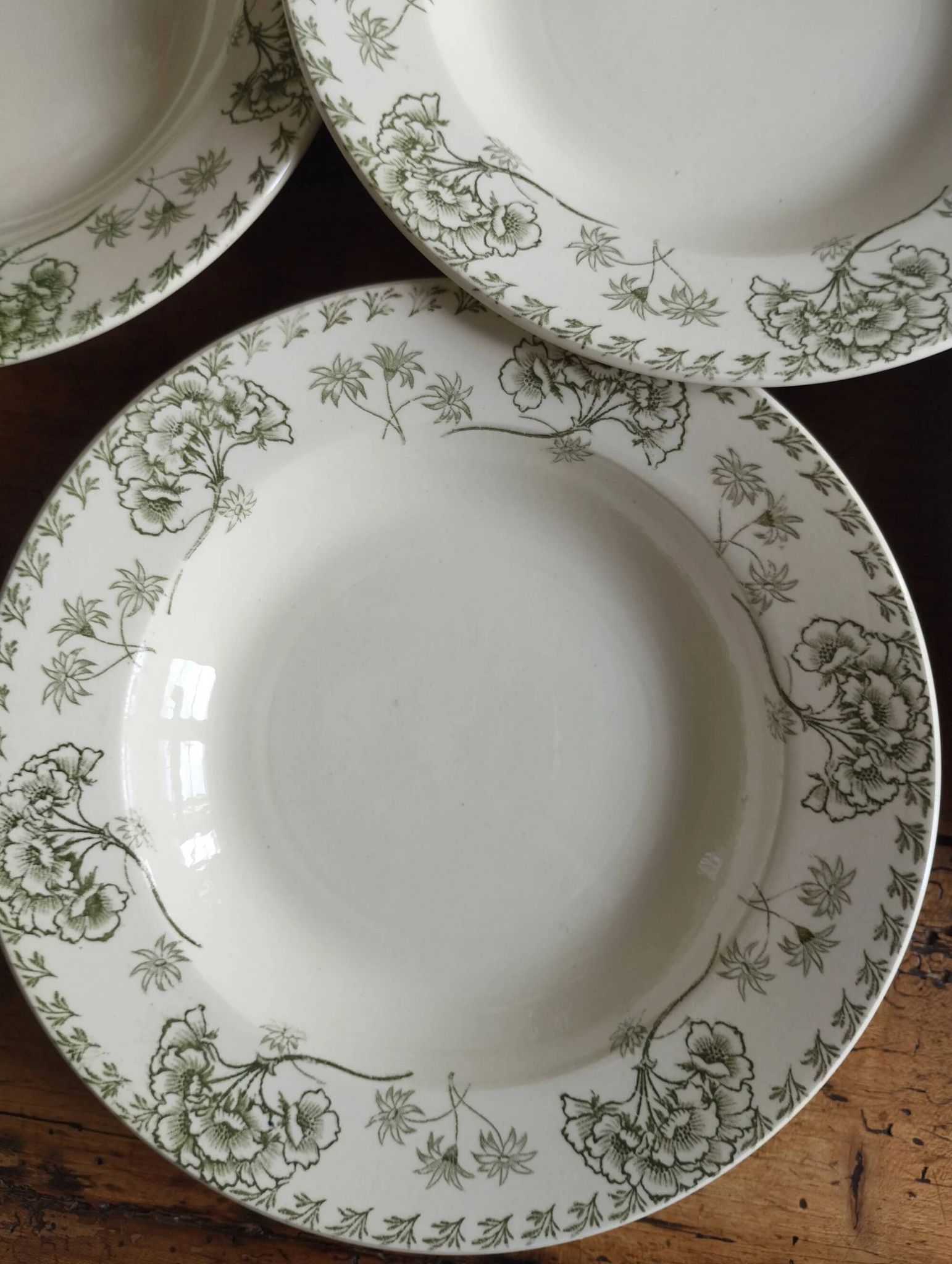 « Palmyre » - 6 assiettes creuses terre de fer Sarreguemines