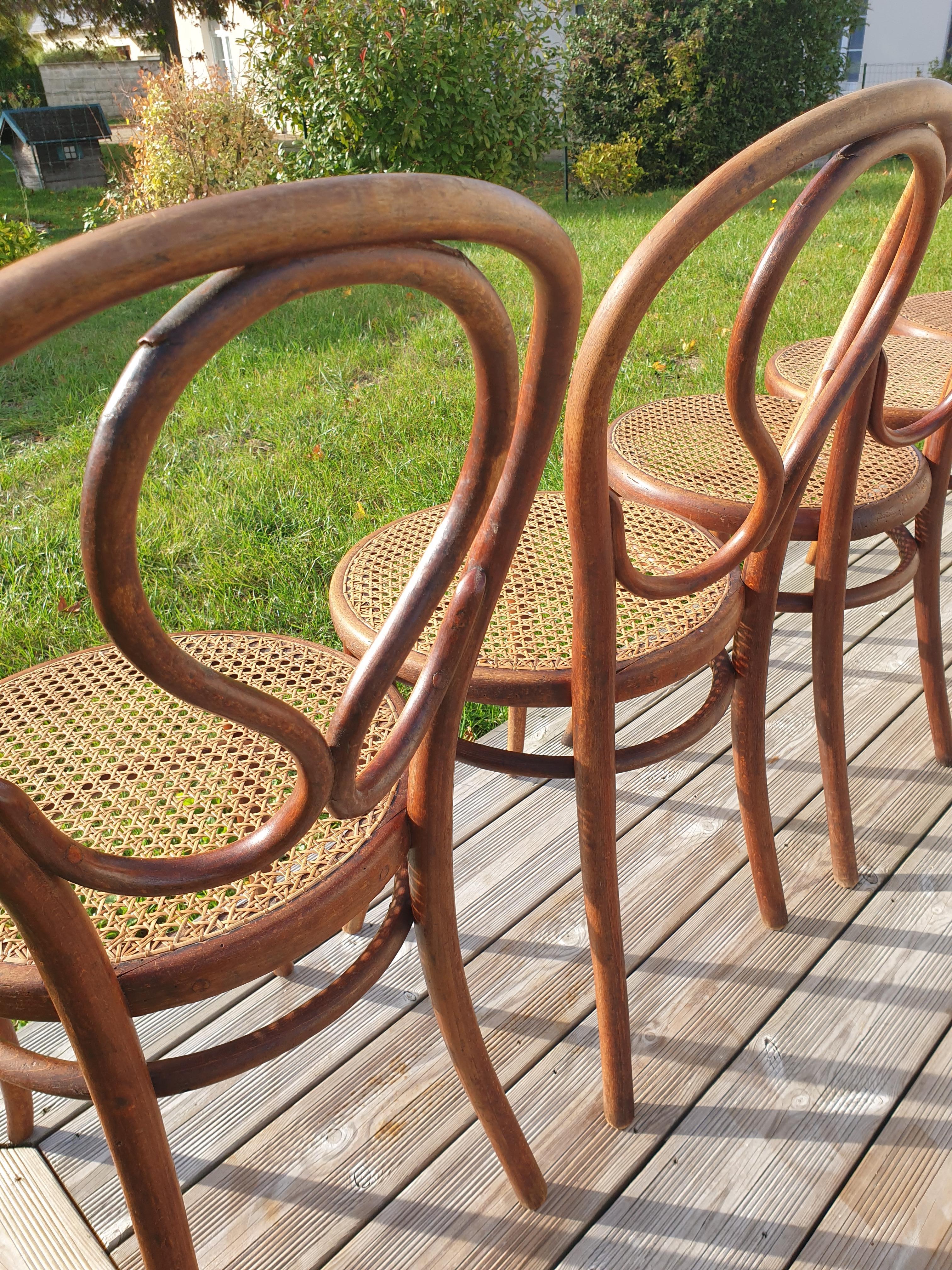 Série de 6 chaises Thonet N°20 Omega