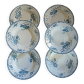 6 assiettes creuses anciennes en Terre de fer 