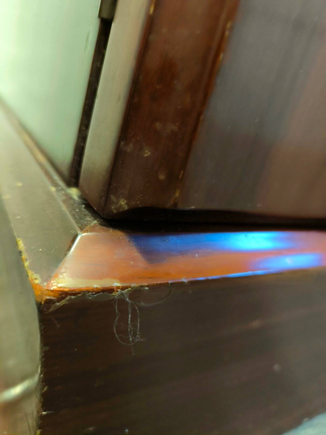 Luciano Frigerio Credenza "Tartaro" in Padouk