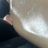 Pair of Eames fiber high stools for Modernica US