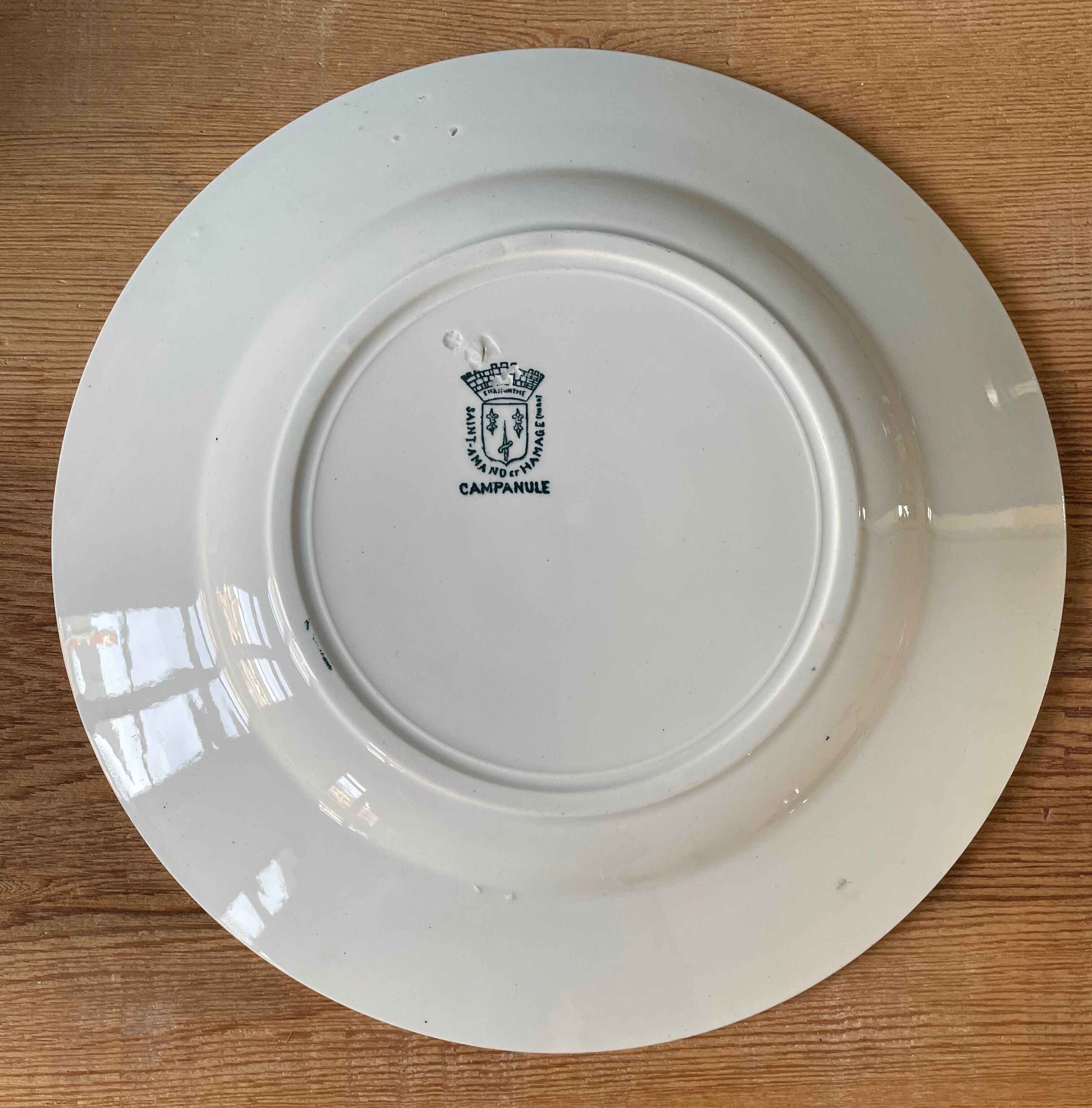 Lot de 9 assiettes plates Terre de Fer modèle « Campanule » St Amand et Hamage