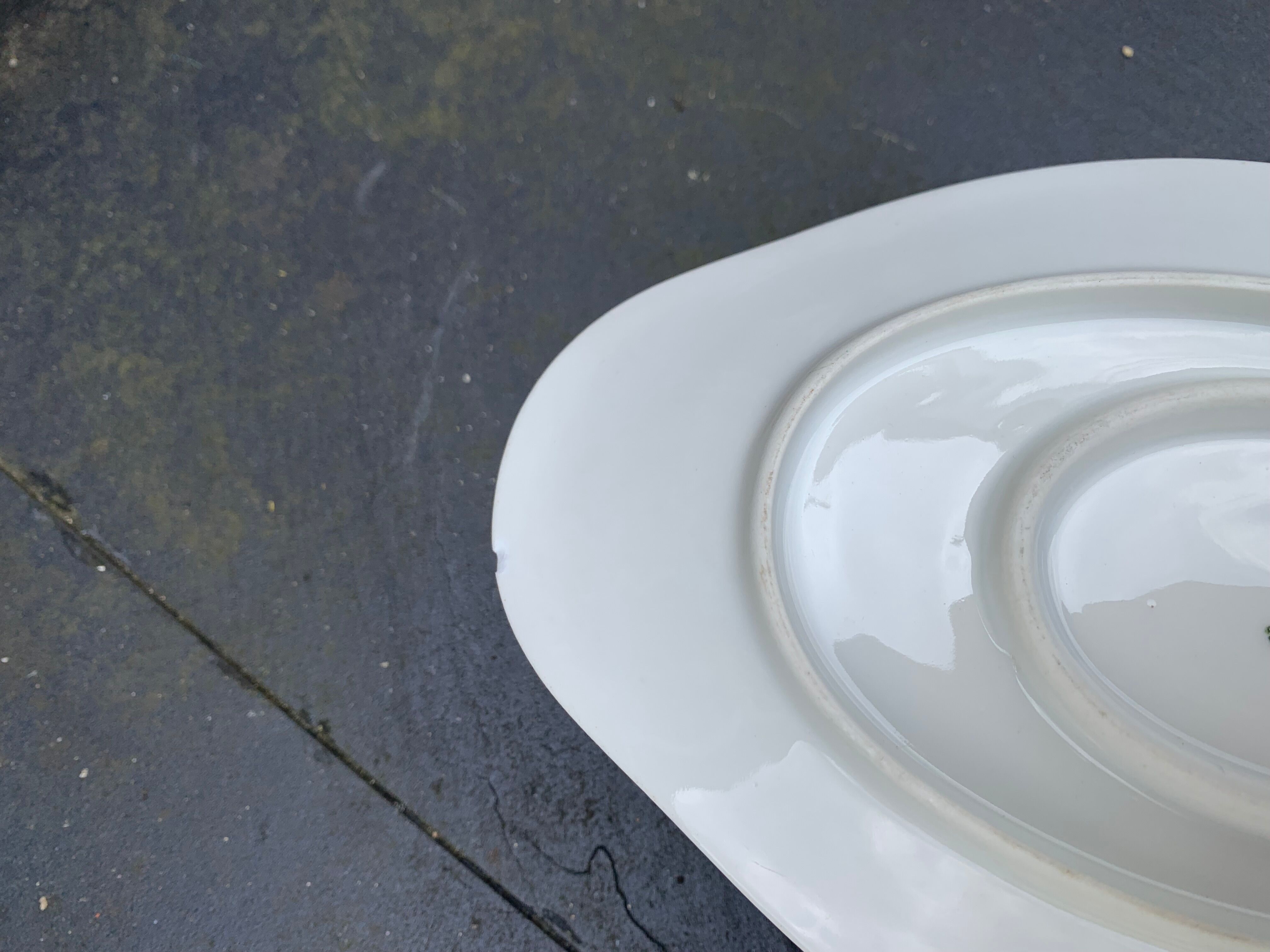 Serving dish and gravy boat in limoges porcelain, stamped b & cie limoges france