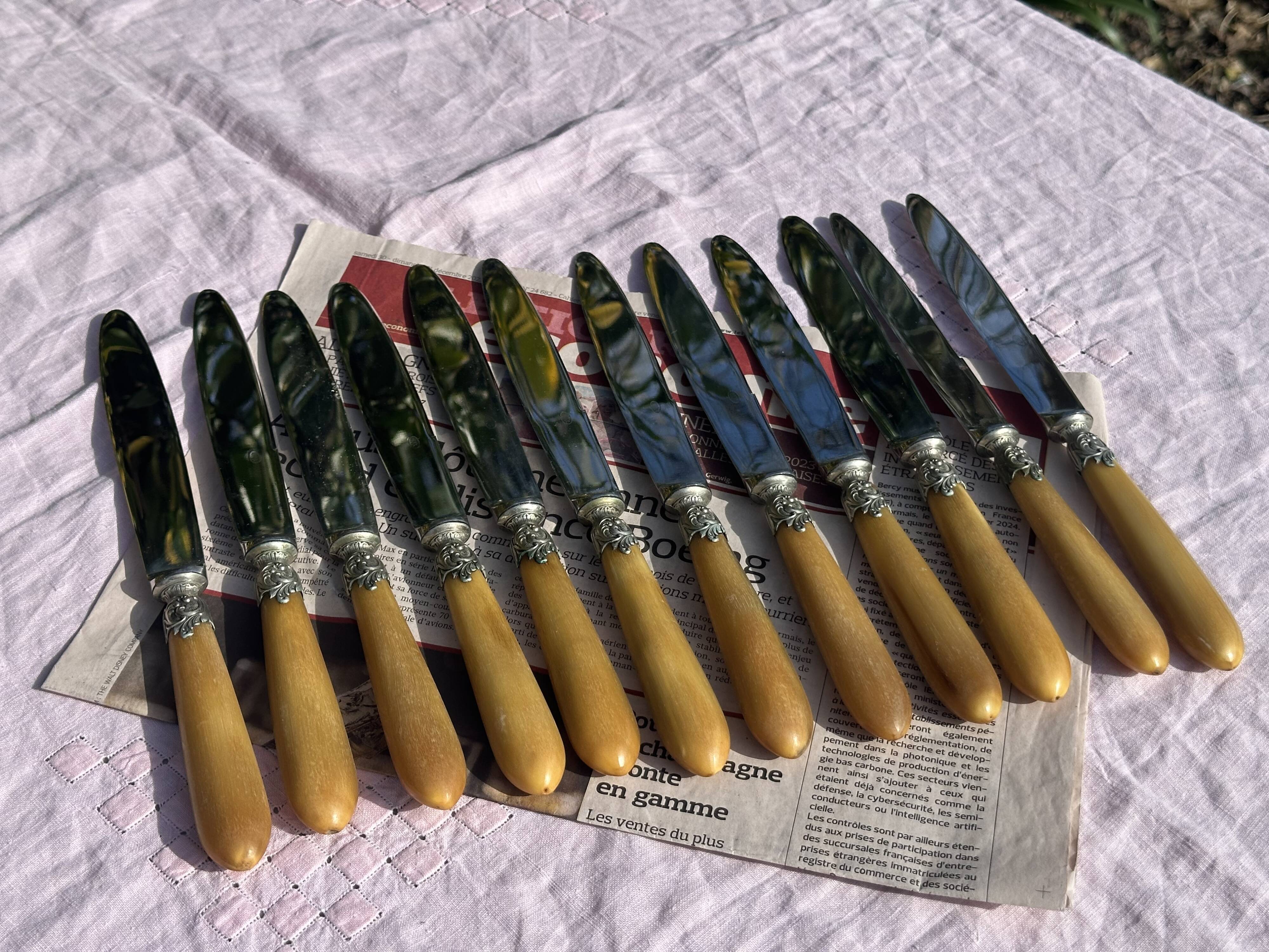 Set of 12 Antique Art Nouveau Table Knives - Tableware