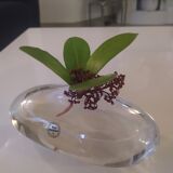Vase Glasi Hergiswil