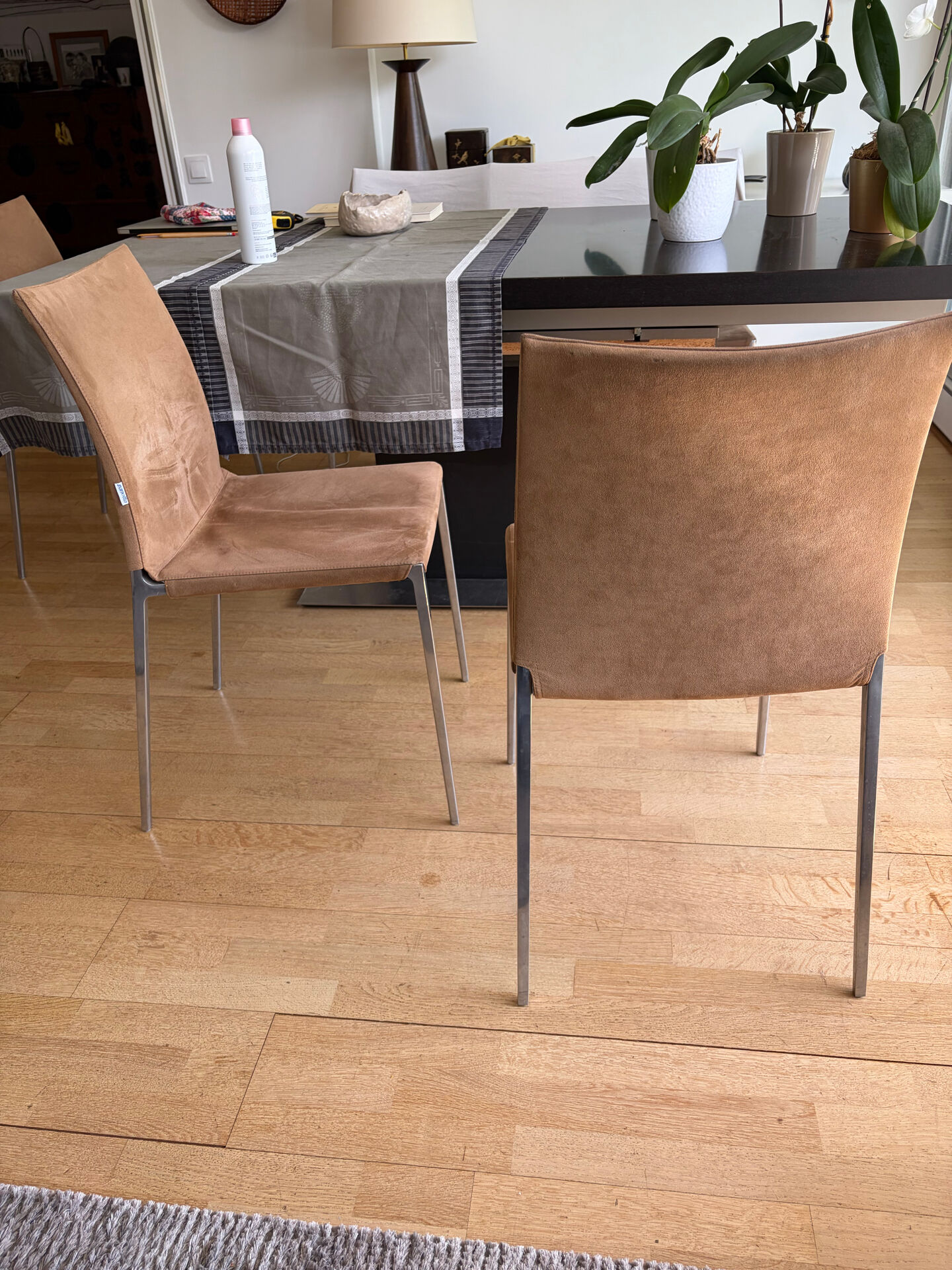 Chaises Zanotta alcanthara