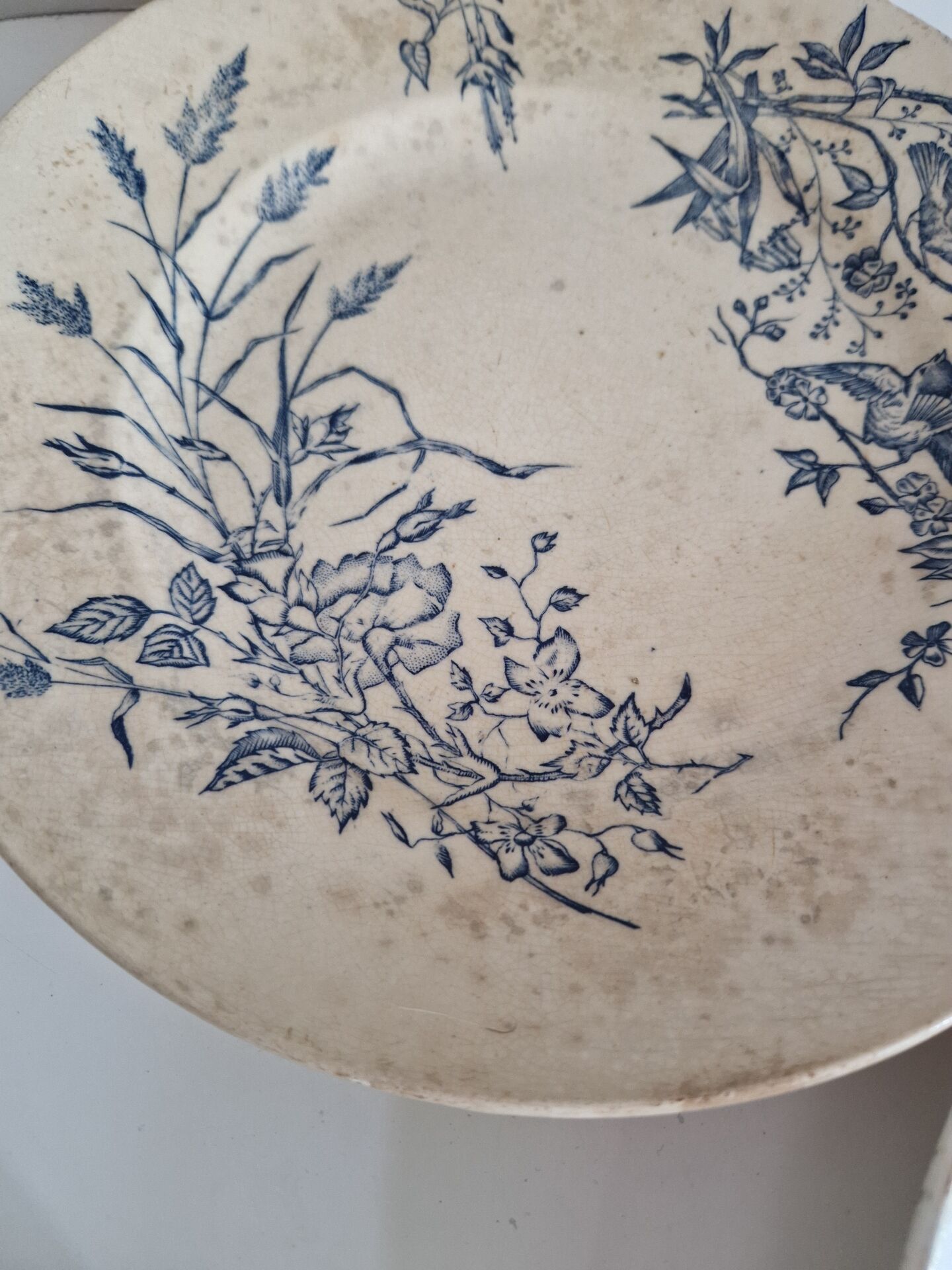Lot De 9 Assiettes Plates Terre De Fer