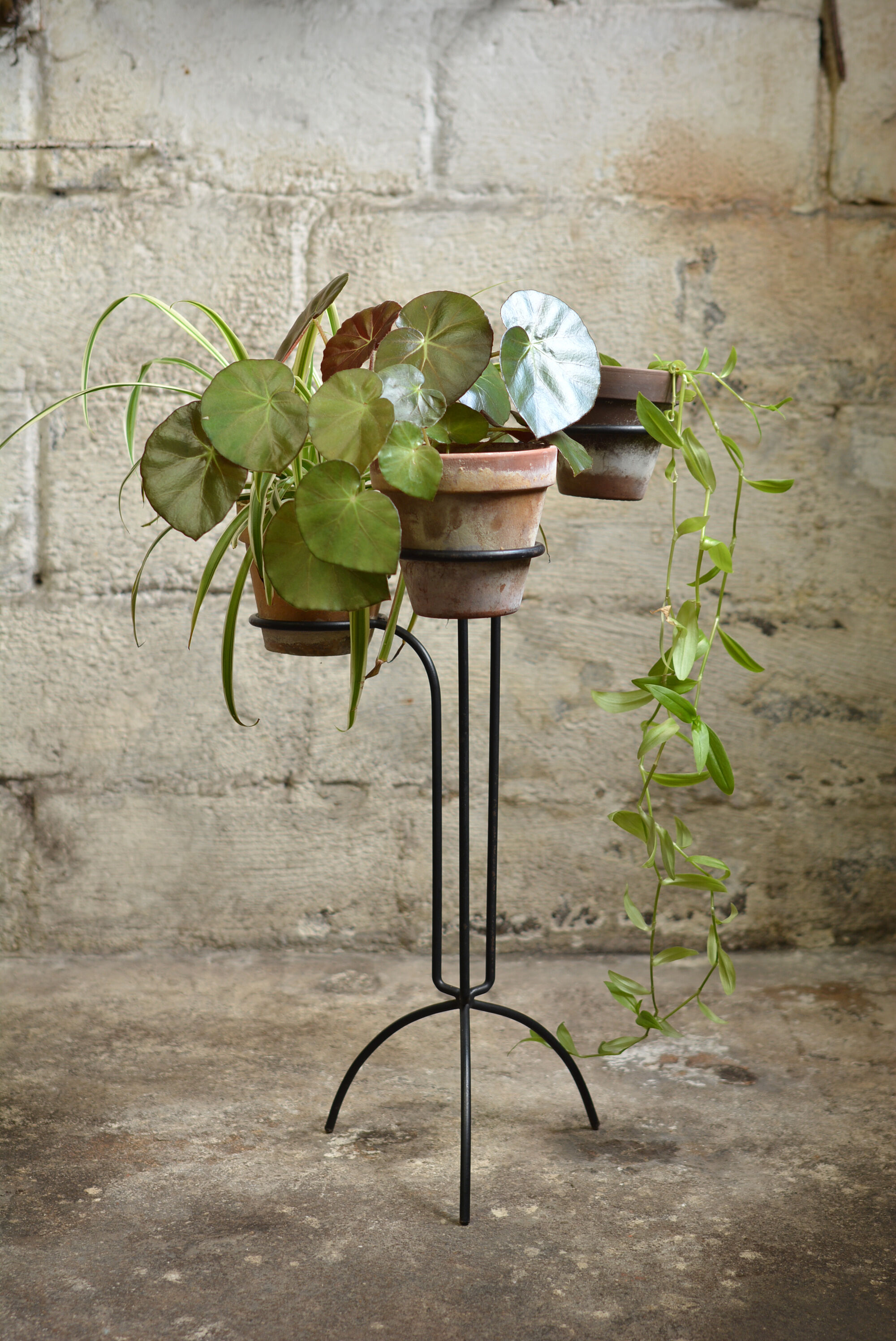 Door plants metal vintage