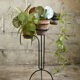 Door plants metal vintage