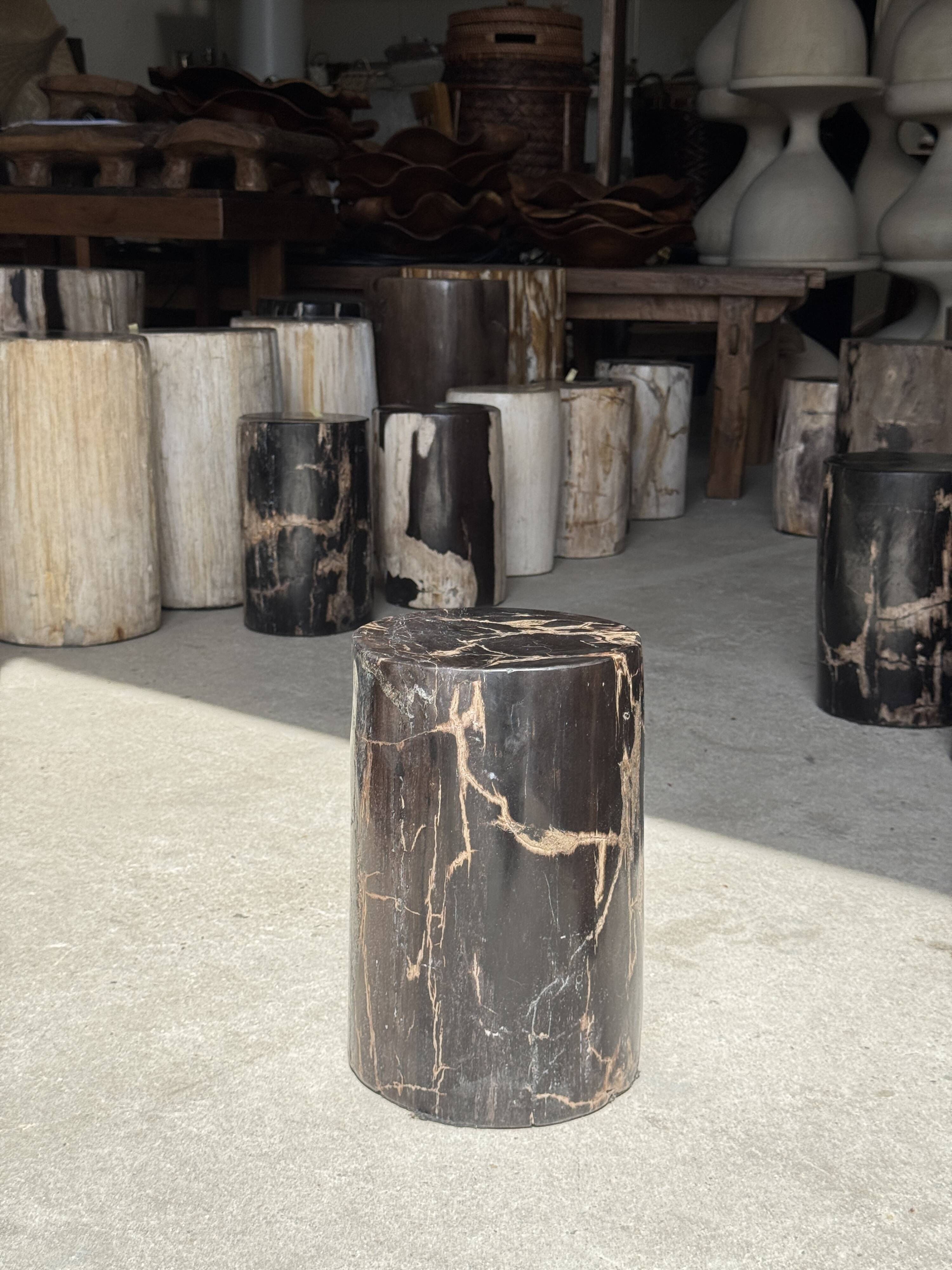 Table d'appoint en bois pétrifié noir