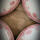 4 flat plates Narcissus