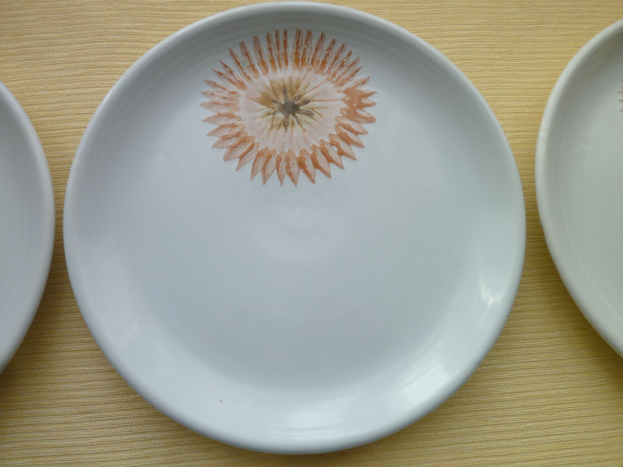 Set of 6 Flat Plates Faïence de St Amand 1713 Vintage 70s