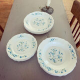 Set of Arcopal floral plates