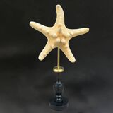 Starfish on a turned wooden base, late 19th century - cabinet of curiosities