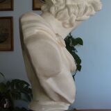 Plaster bust in the antique Apollo of the Belvedere, 70 cm