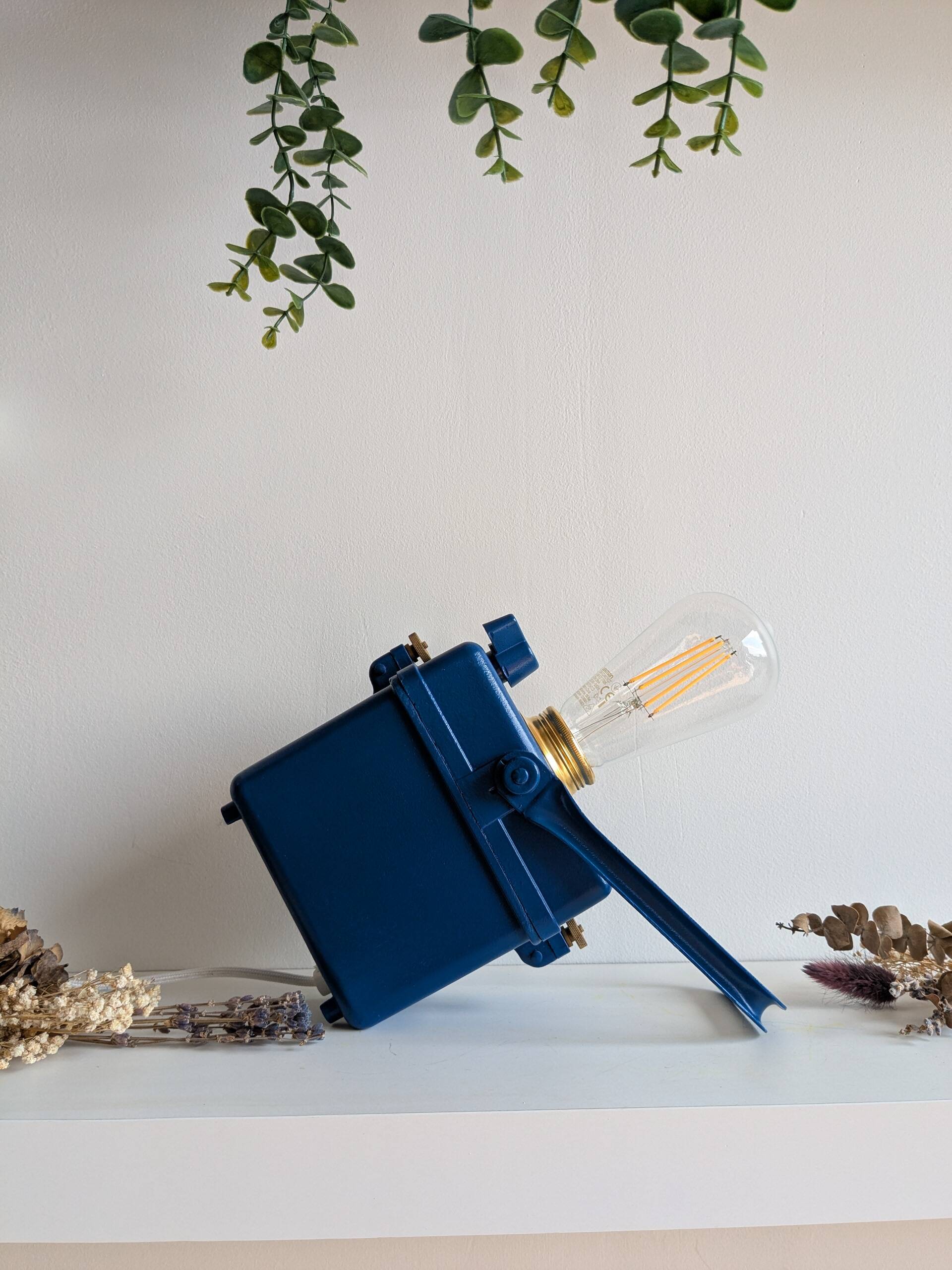 Wonder Tifon Dark Blue