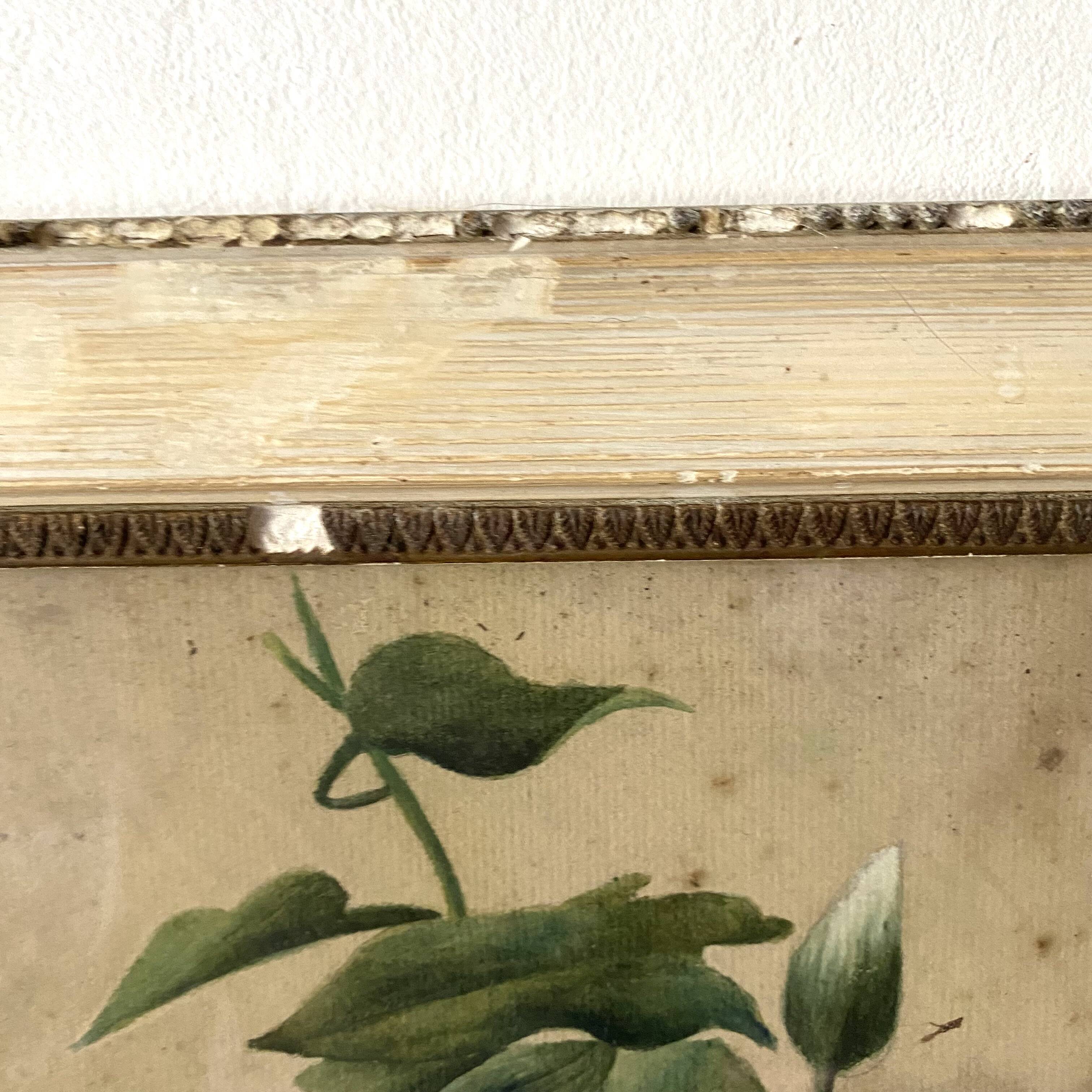 Triptych of old watercolors, flowers, 19th century