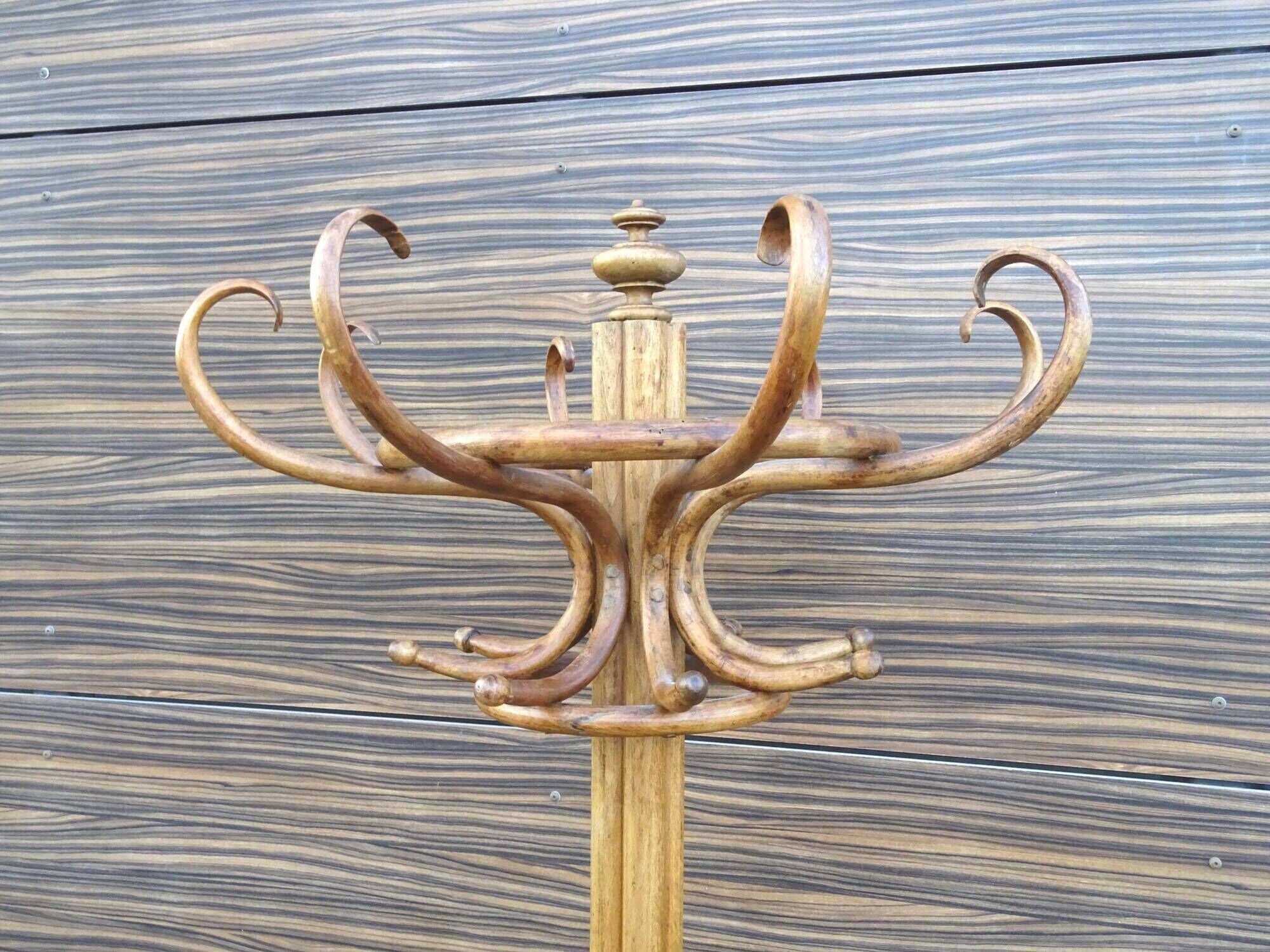 Parrot coat rack with 8 hooks, bistro style, not Thonet, around 1910.