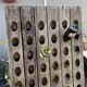 Bottle holder, antique wooden