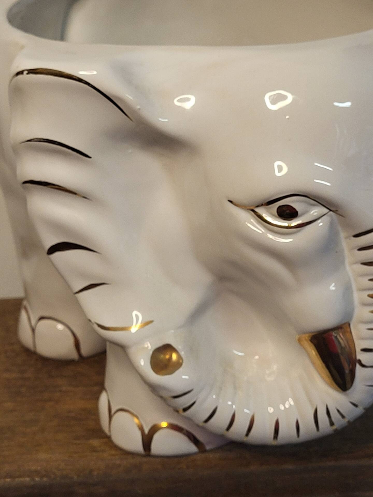 Elephant plant pot