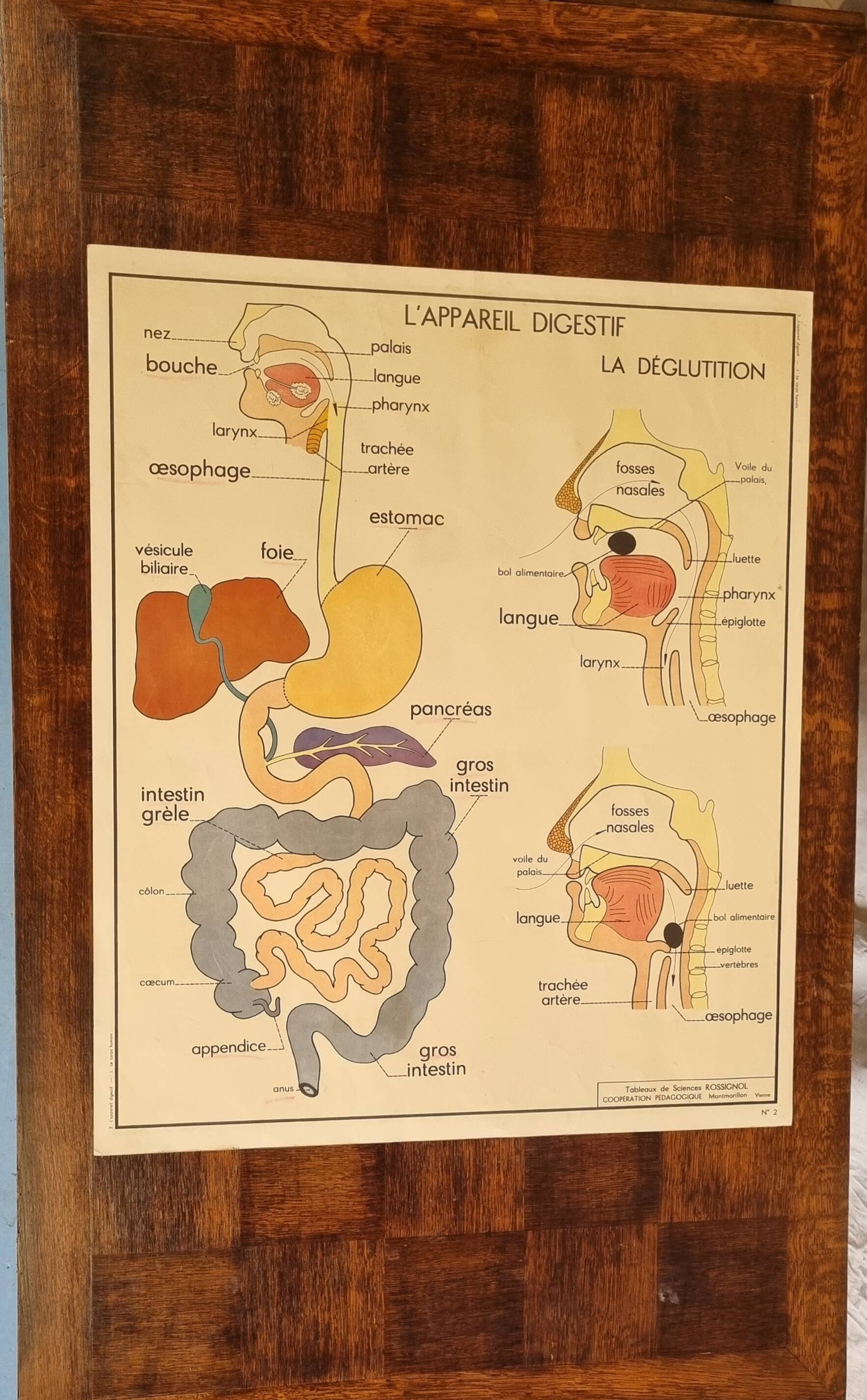 School poster science tables rossignol