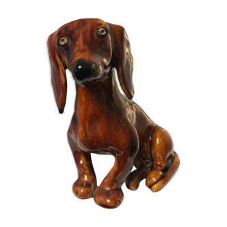 Dog breed dachshund