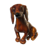 Dog breed dachshund