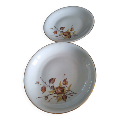 Plats diamètre 28cms (un plat plat et un autre creux)