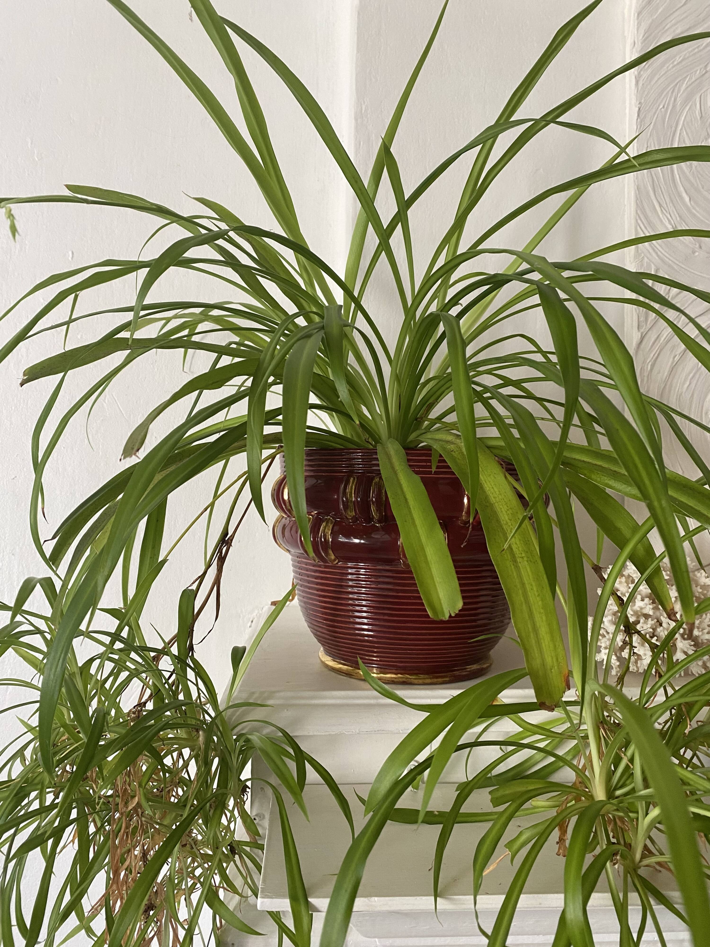 Saint Clément B. Letalle Art Deco ceramic flowerpot