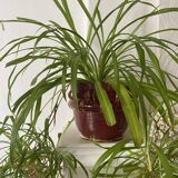 Saint Clément B. Letalle Art Deco ceramic flowerpot