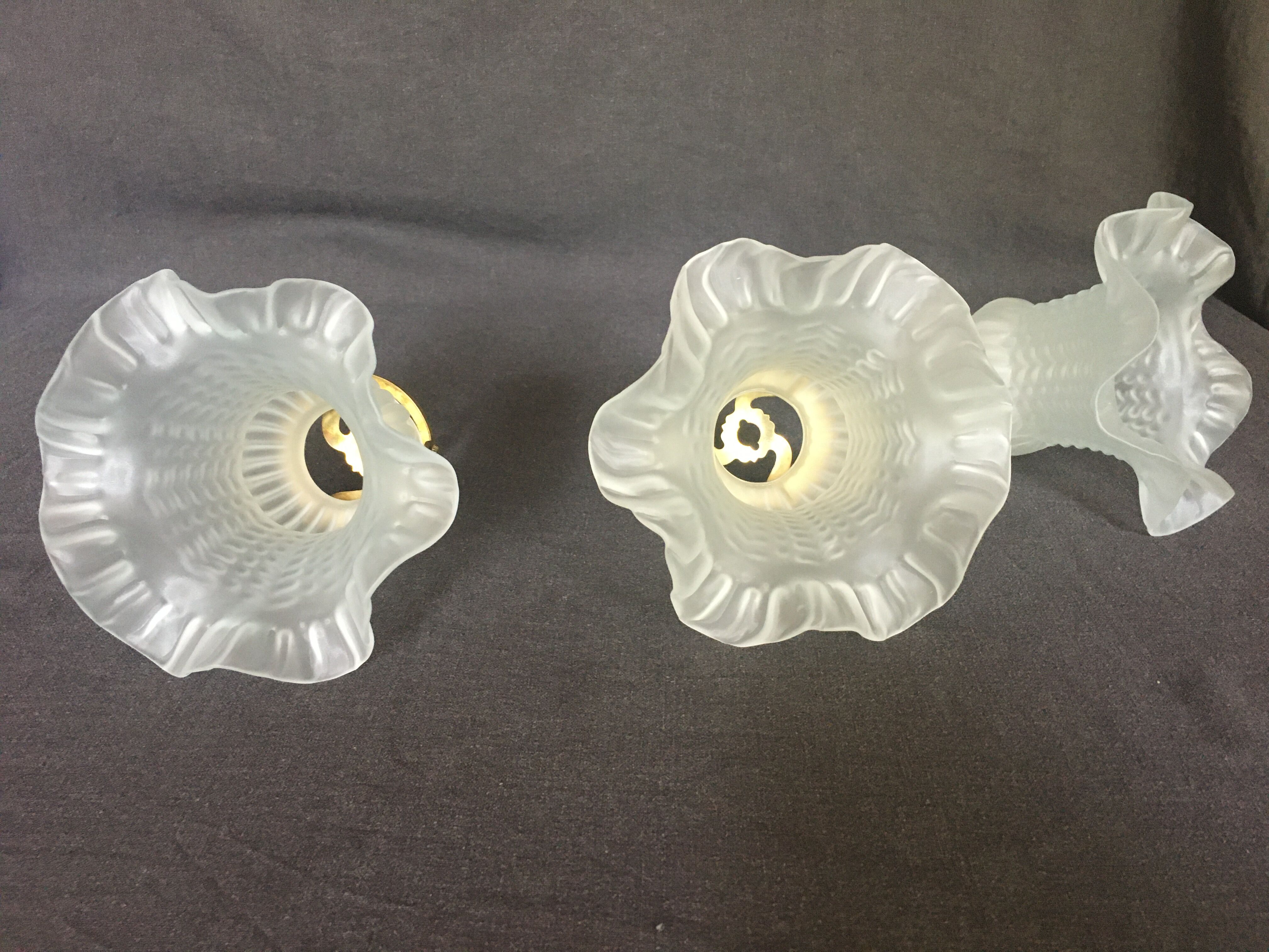 Tulipes en verre dépoli
