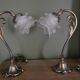 Set of 2 bedside lamps in brass and glass