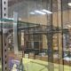 Store window with sliding doors in matte black patinated oak - 30s