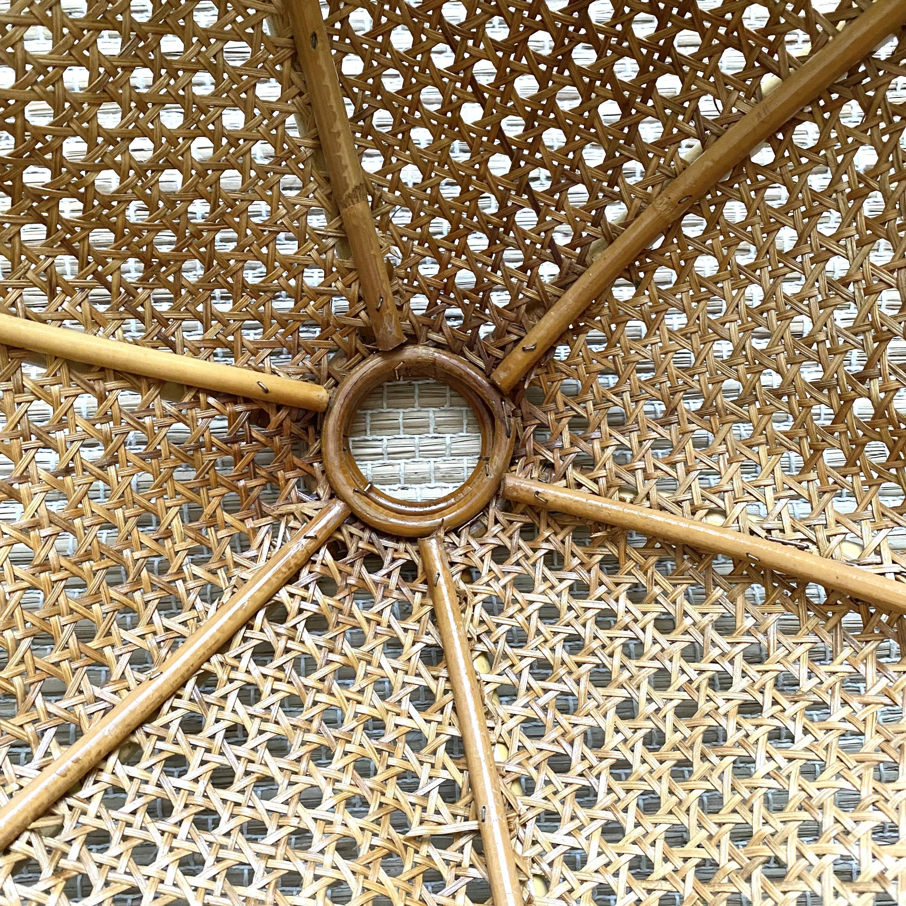 Rattan lampshade and canning to hang
