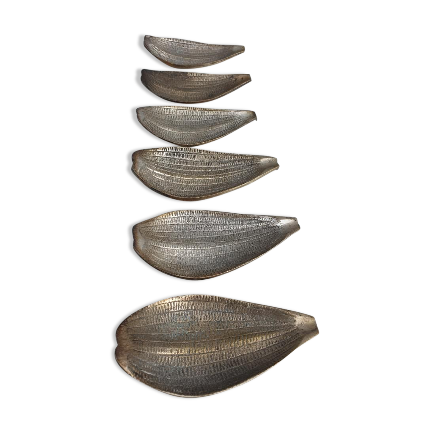 Set of 6 petals brass display
