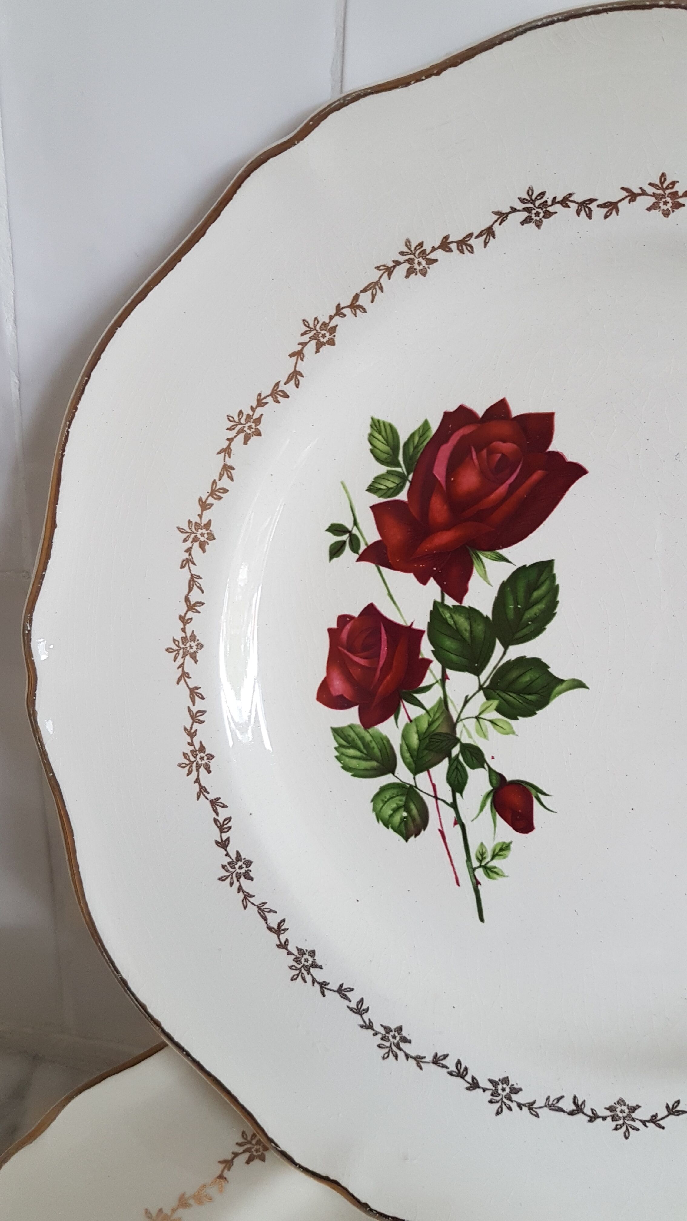 6 flat plates pink pattern