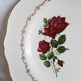 6 flat plates pink pattern