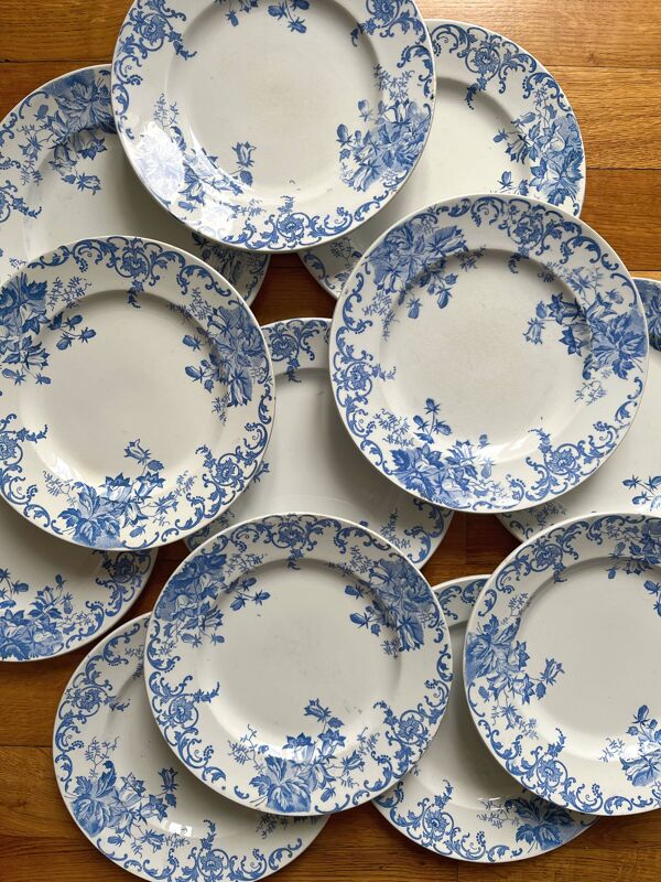 12 petites assiettes plates ''Campanule'' Saint Amand et Hamage