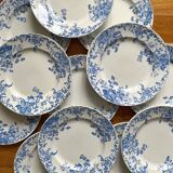 12 small flat plates "Campanule" Saint Amand and Hamage
