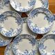 12 small flat plates "Campanule" Saint Amand and Hamage