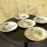 Old earthenware plates "Sarreguemines" model Alma