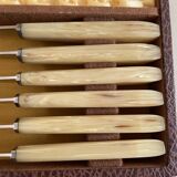 Set of 12 dessert forks and pie server in brown case