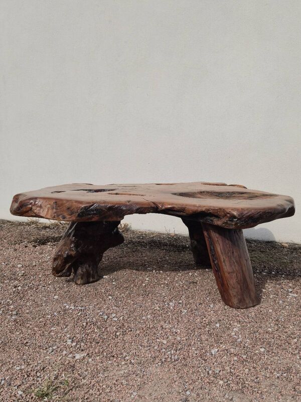 Table basse Brutaliste racine tronc d'arbre en Orme massif 1950s