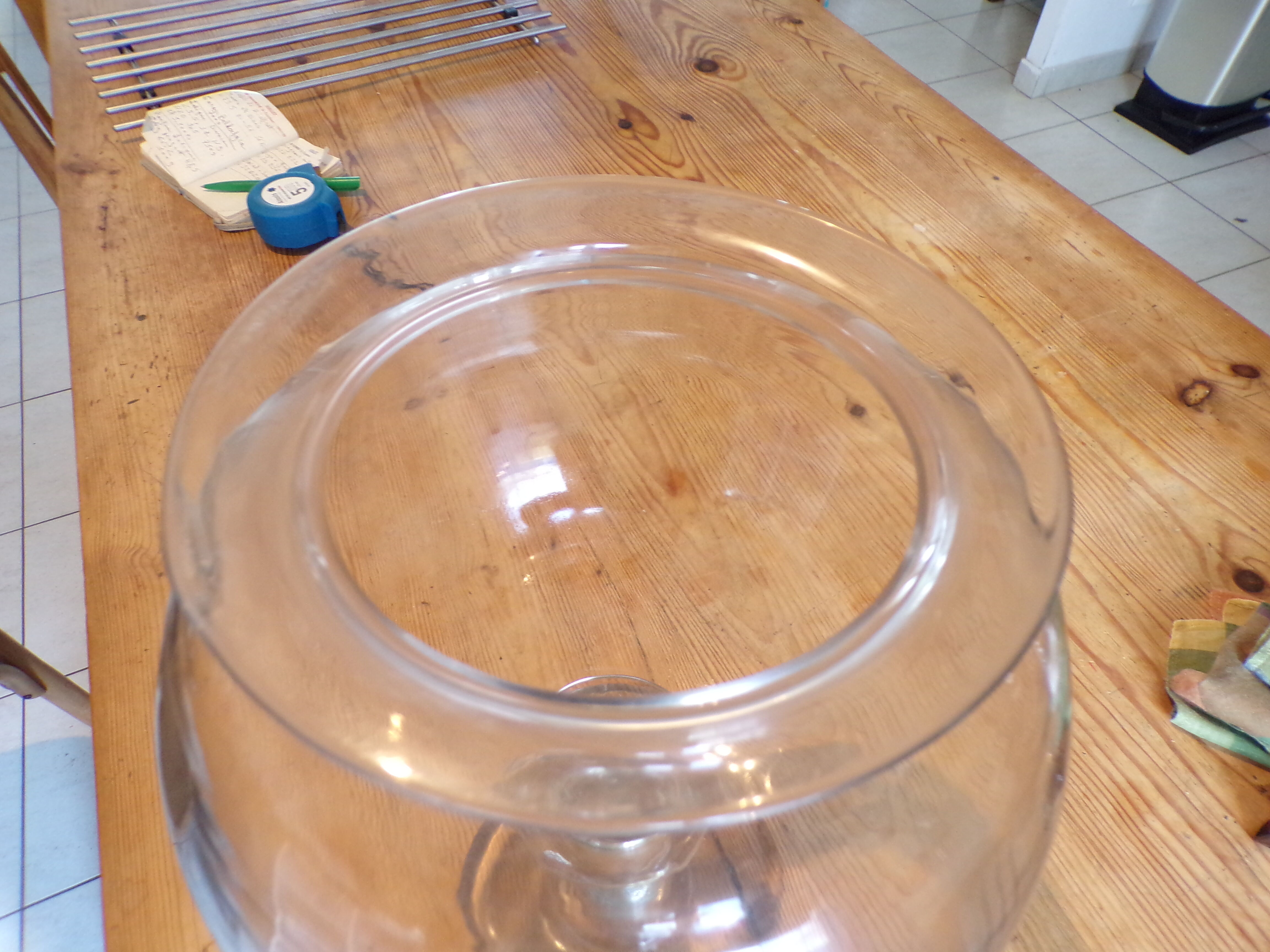 Leech jar glass 19th