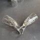 8 champagne flutes - cut crystal – cristalleries royales de champagne