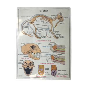 Affiche pédagogique