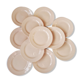 Set of 12 dessert plates Digoin rose